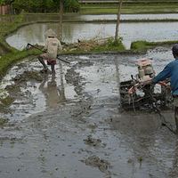 Photo de Bali - Ubud